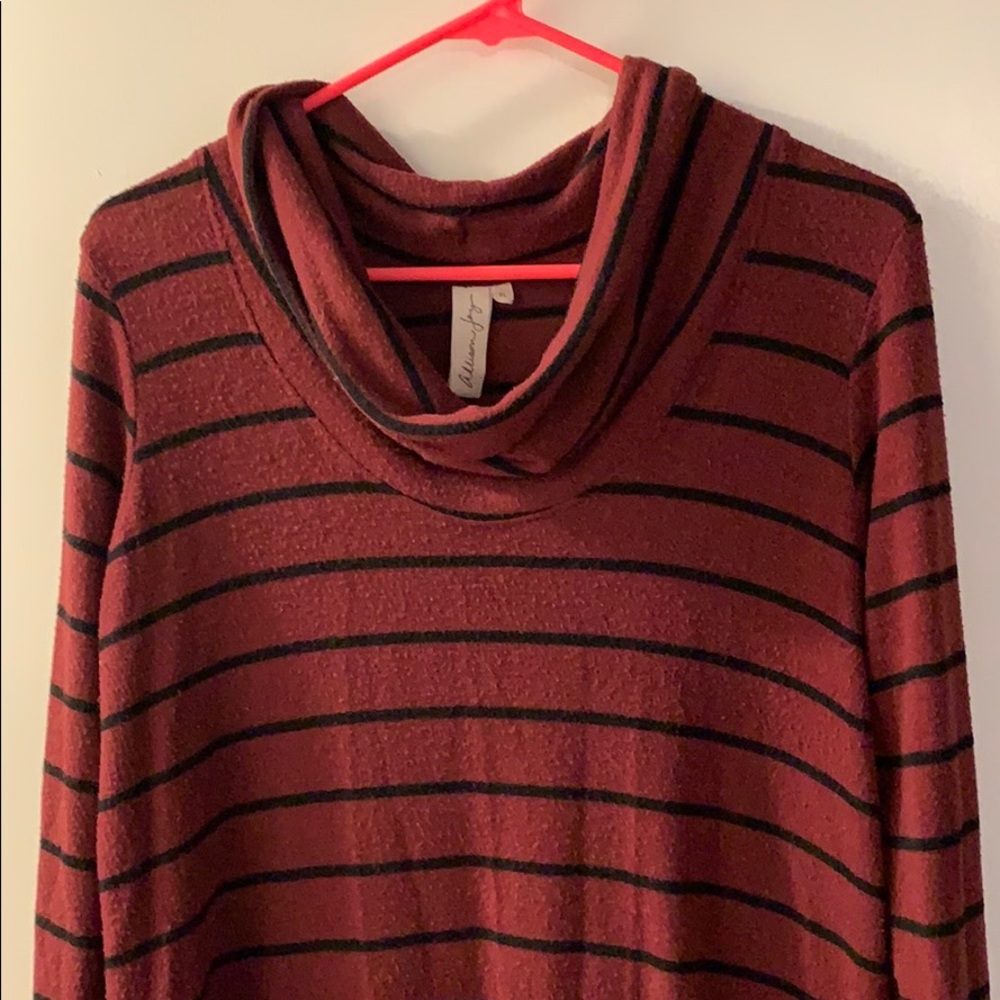 Allison Joy cowl neck tunic top